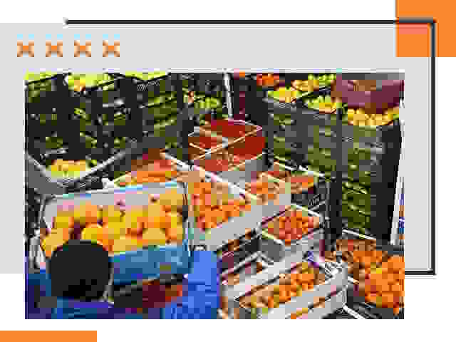 Перевозка скоропортящихся продуктов в Кореновске